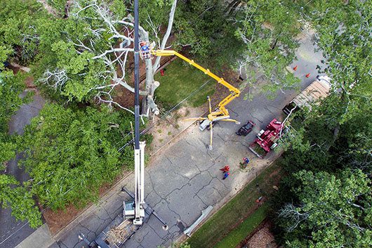 Aerial view of a bucket truck tree removal operation